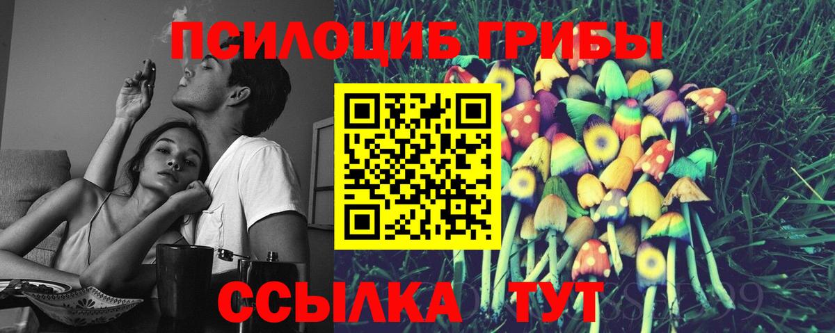 Туймазы  Псилоцибиновые грибы Psilocybine cubensis  Псилоцибиновые грибы MAGIC MUSHROOMS  Вход с VPN 